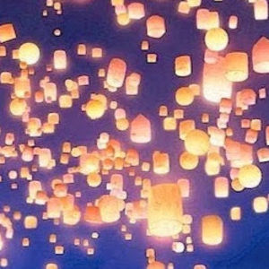 Meet your Posher, Zoe